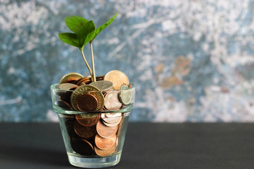 Savings - green plant in clear glass vase