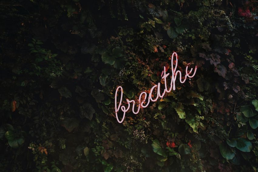 Health Assessments - Breathe neon signage