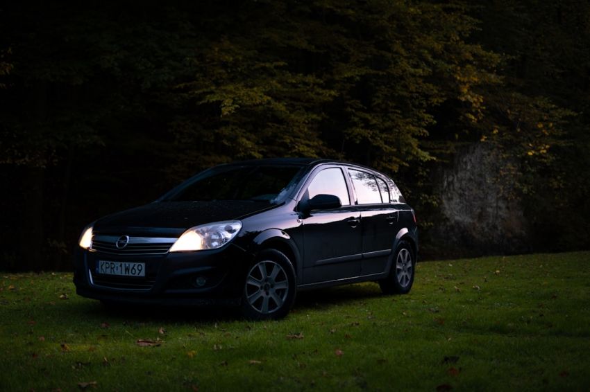 Affordability - a small black car parked in a grassy field