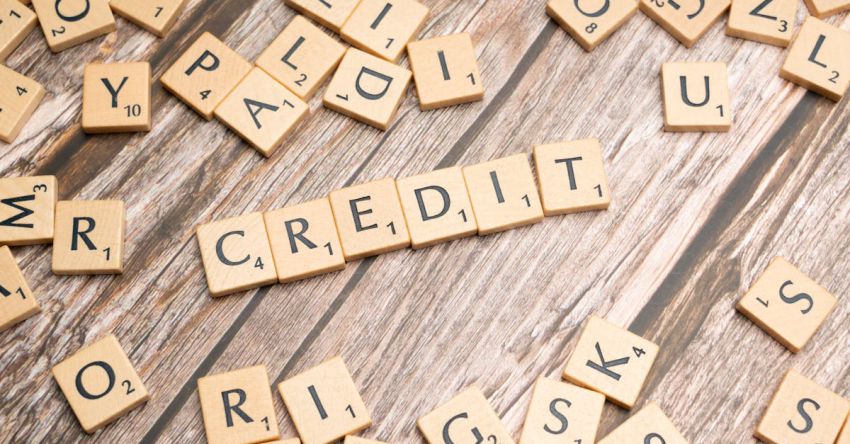 Repayments - Credit score and credit report