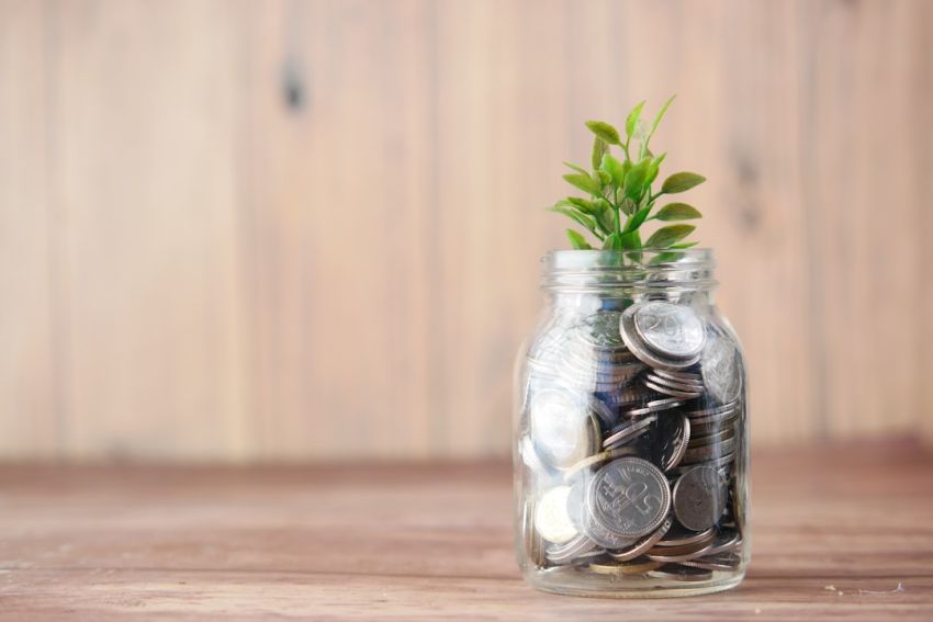 Interest - a glass jar filled with coins and a plant